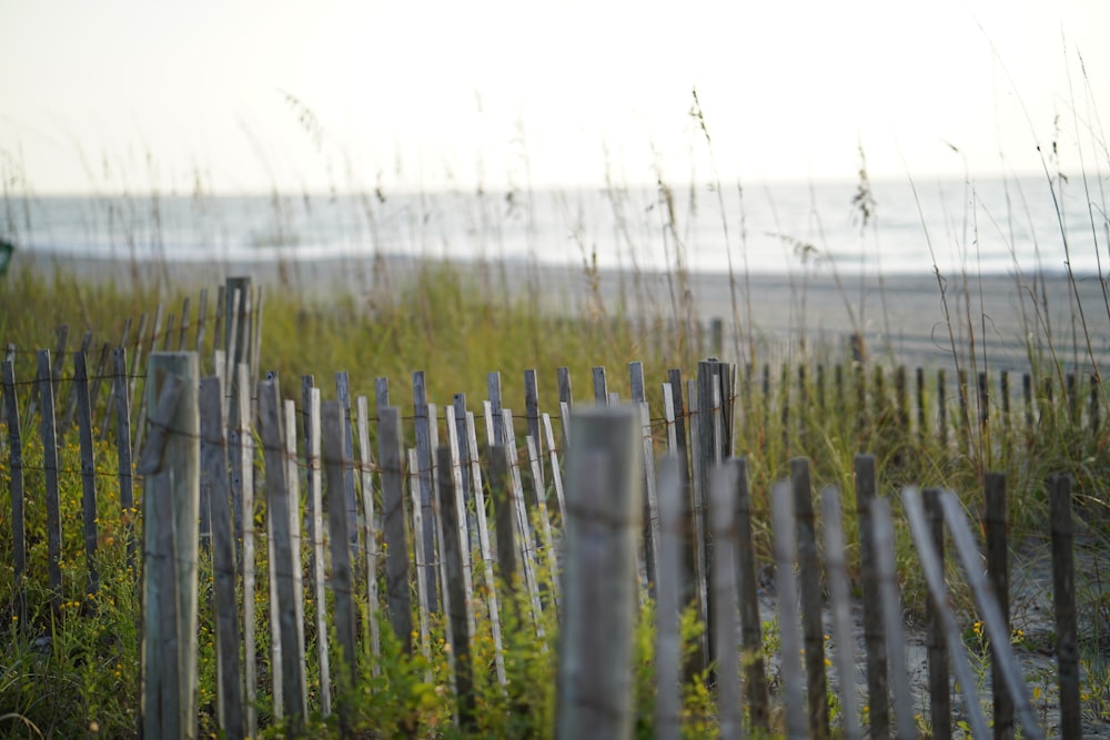 a wooden fence next to a beach with tall grass
