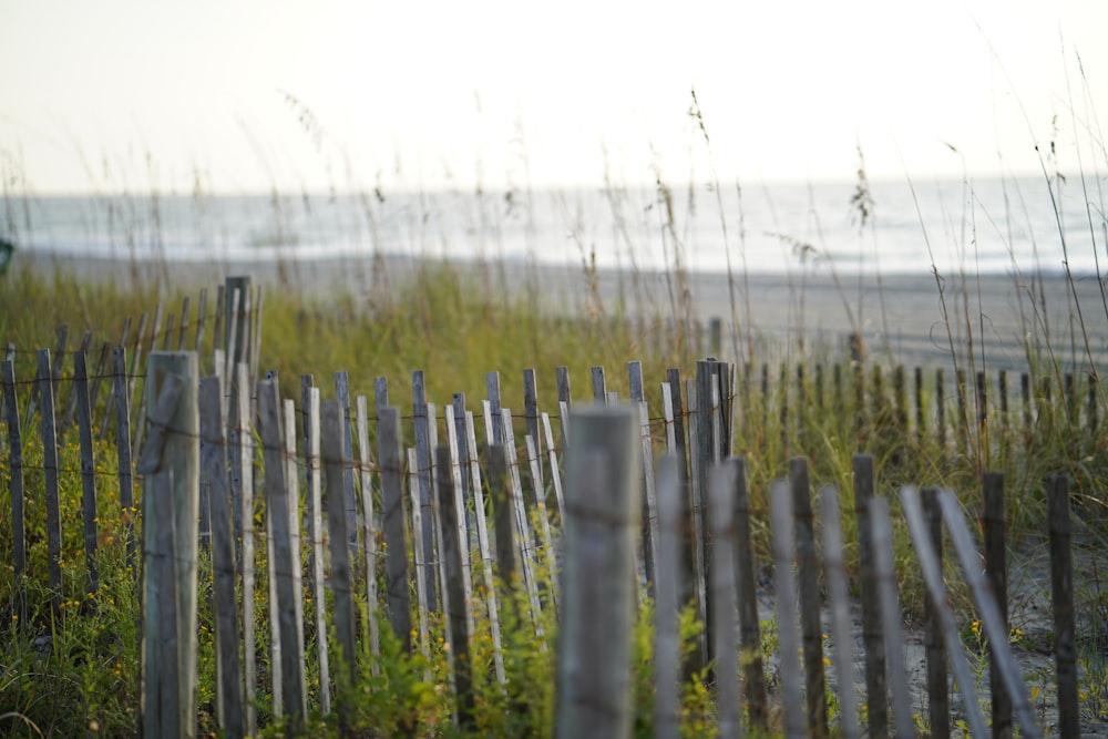 ein Holzzaun neben einem Strand mit hohem Gras