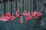 a group of pink flowers hanging from strings