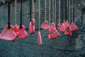 a group of pink flowers hanging from strings