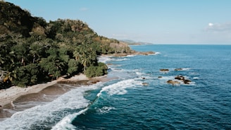 an aerial view of a beach and ocean