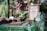 In a lush, green setting, a small sign framed in a rustic wooden frame indicates a commitment to serving organic produce. Next to the sign, there is a small stack of smooth stones placed neatly on a stone platform, giving a sense of tranquility and balance.