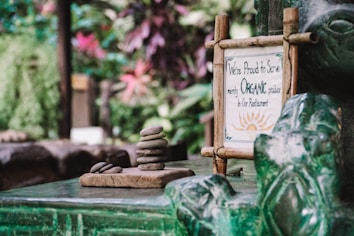 In a lush, green setting, a small sign framed in a rustic wooden frame indicates a commitment to serving organic produce. Next to the sign, there is a small stack of smooth stones placed neatly on a stone platform, giving a sense of tranquility and balance.