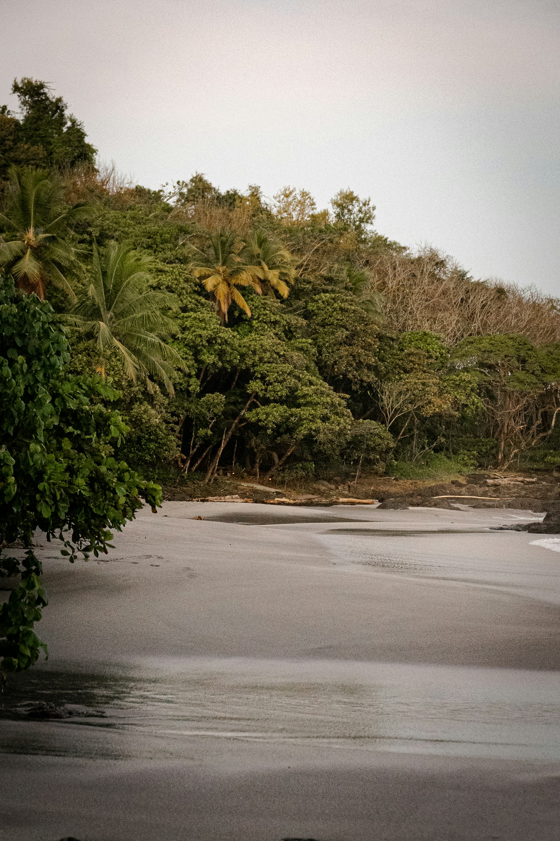a large body of water surrounded by trees