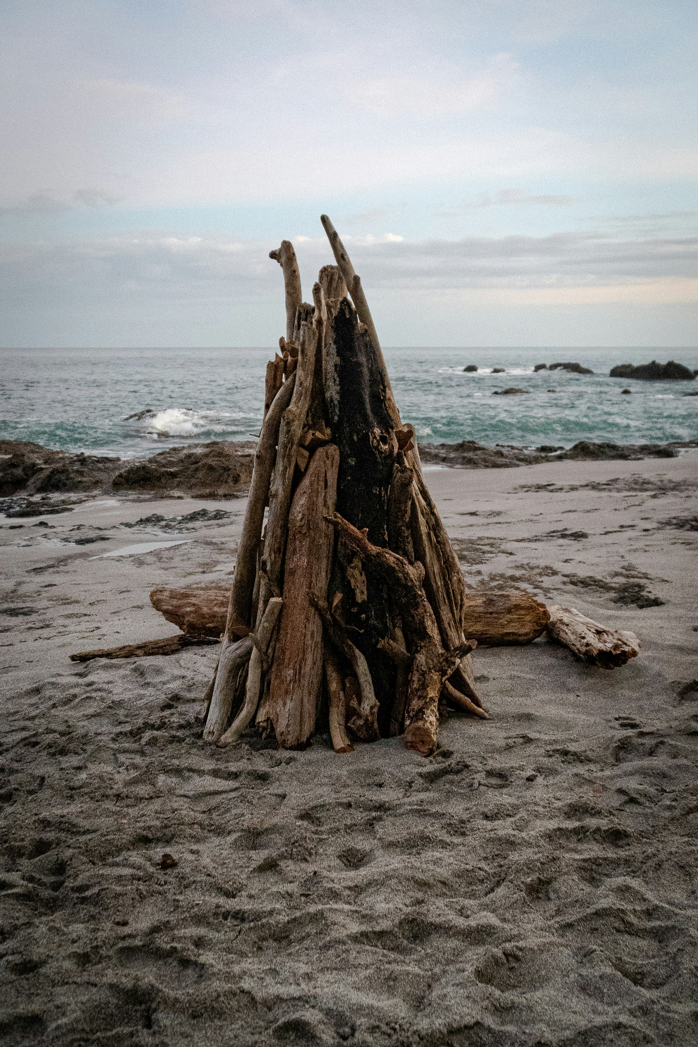 a pile of driftwood sitting on top of a sandy beach