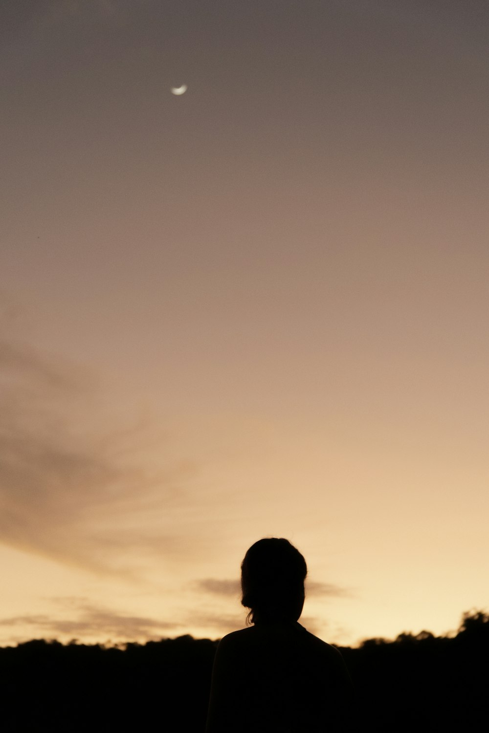 una persona in piedi in un campo al tramonto