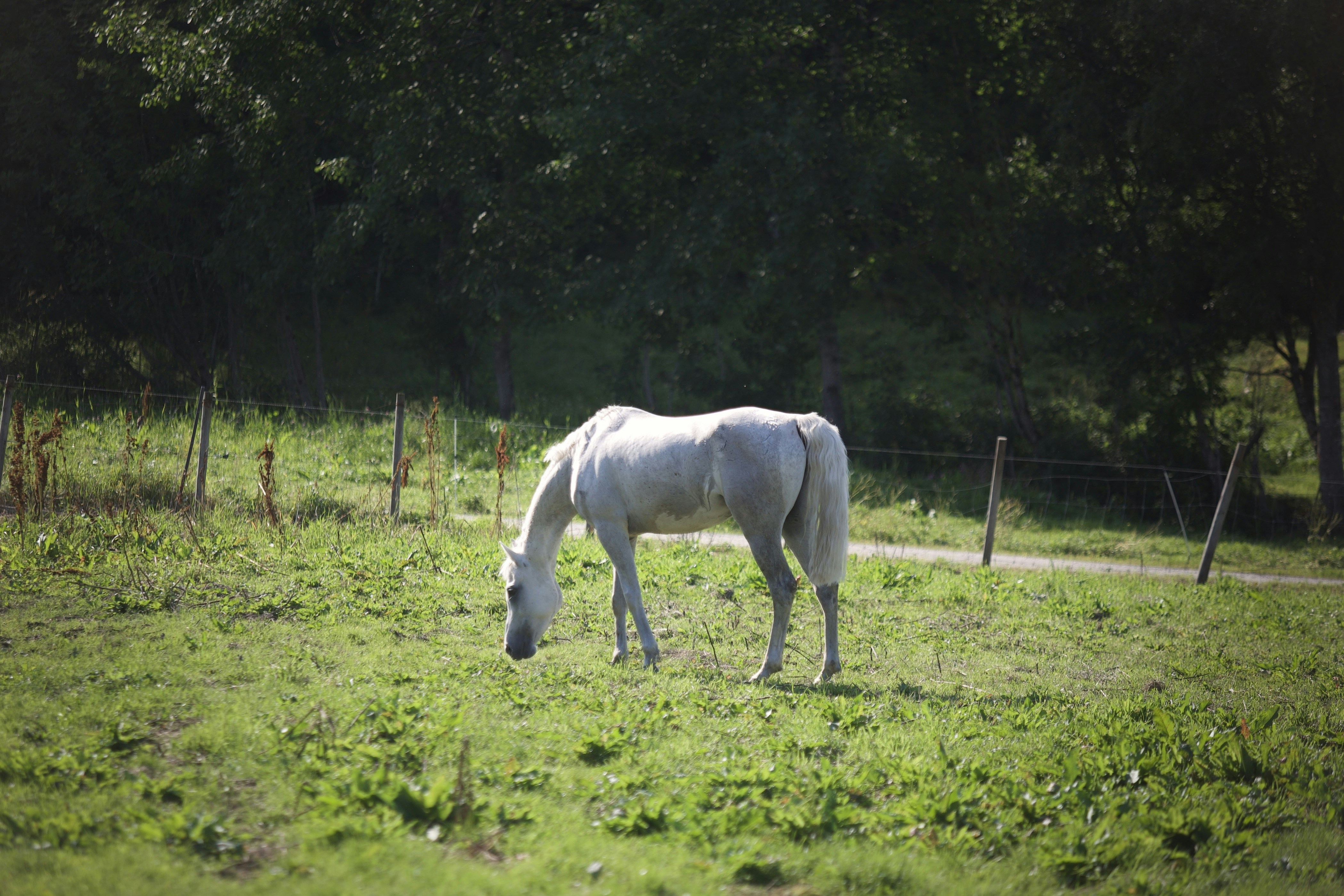 Photo by kristinokarlsen