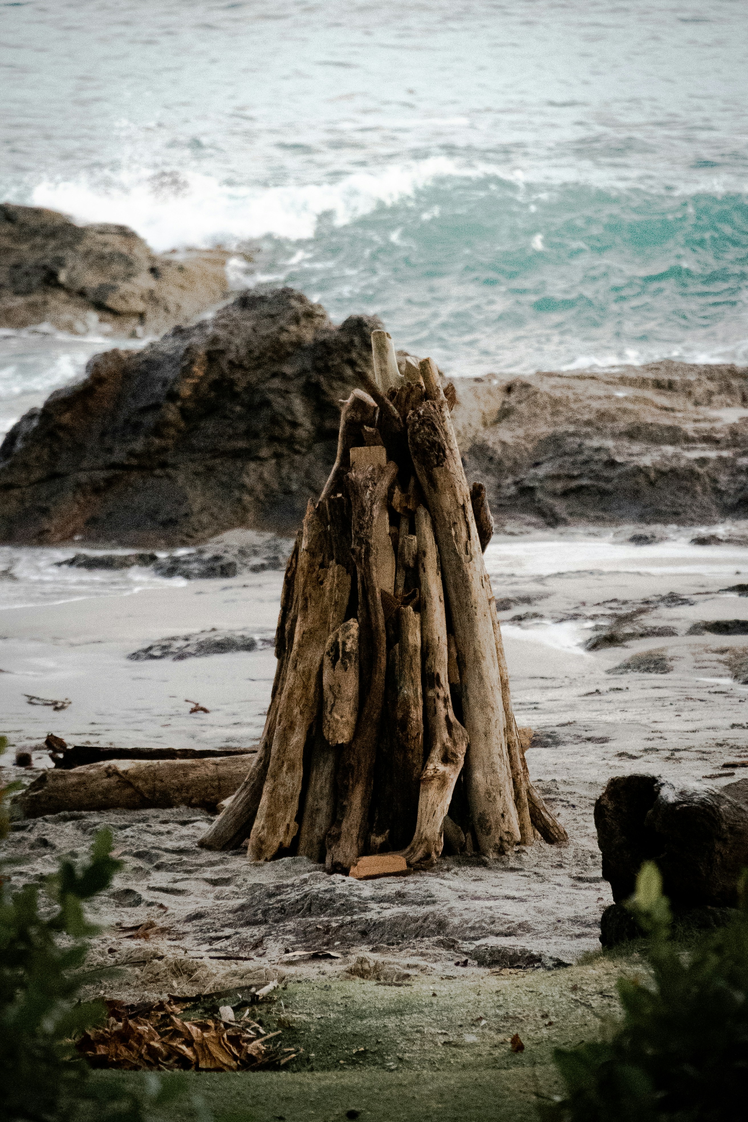 a pile of driftwood sitting on top of a sandy beach