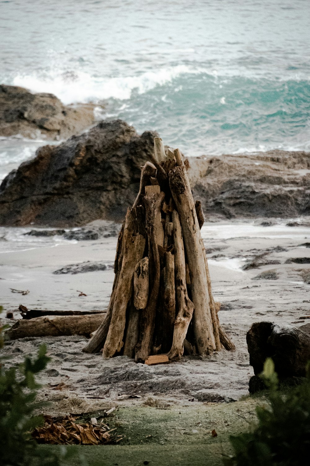 a pile of driftwood sitting on top of a sandy beach