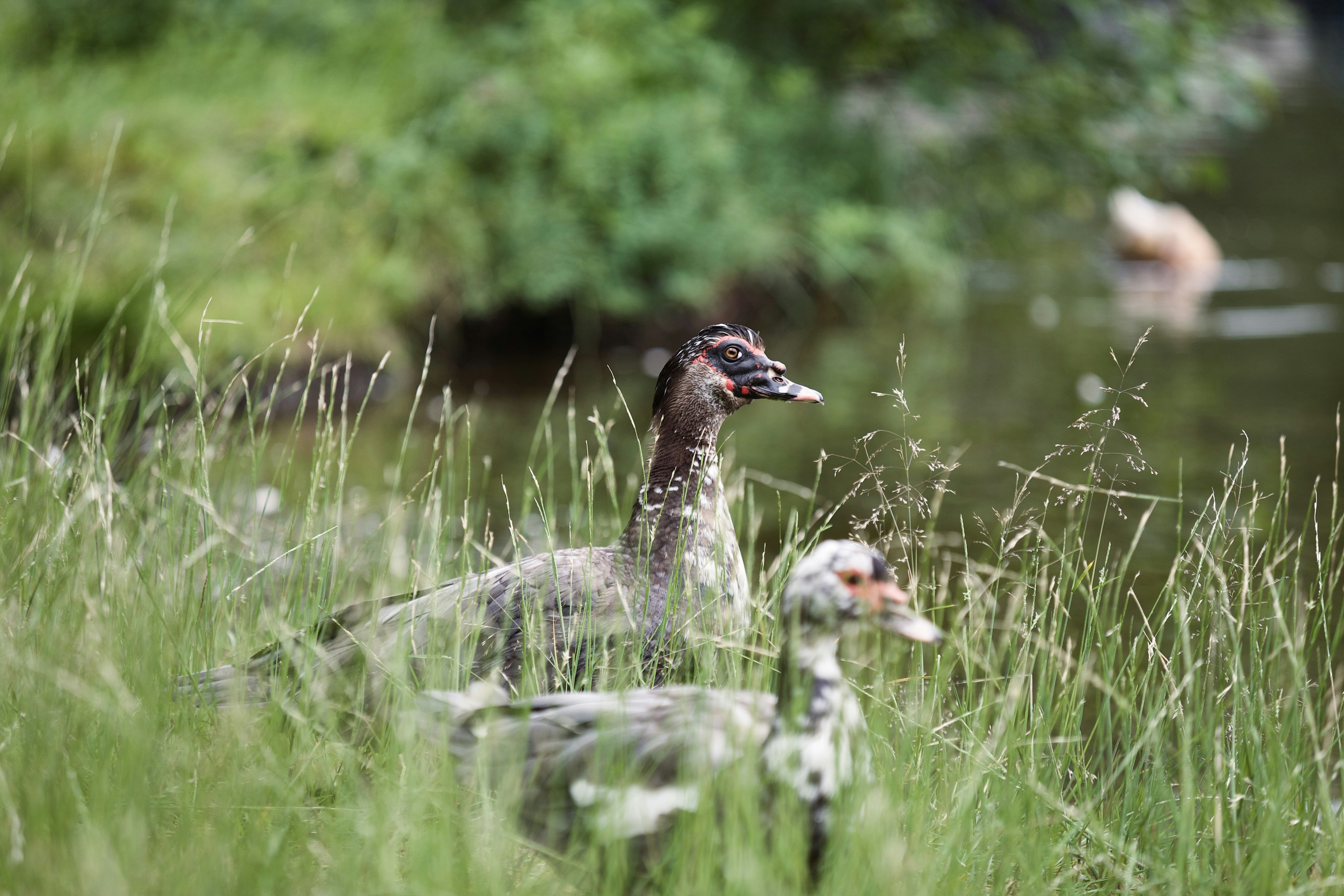 Photo by kristinokarlsen