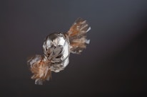 Close-up of a black licorice candy partially unwrapped, revealing a mysterious fortune inside.