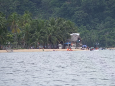 A sandy beach bordered by dense greenery and palm trees, with people enjoying leisure activities near the shoreline. There are small thatched shelters, chairs, and umbrellas scattered along the beach, with several figures sporting bright clothing. Boats are also visible near the water's edge.
