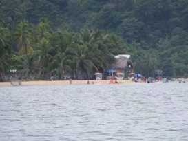 A sandy beach bordered by dense greenery and palm trees, with people enjoying leisure activities near the shoreline. There are small thatched shelters, chairs, and umbrellas scattered along the beach, with several figures sporting bright clothing. Boats are also visible near the water's edge.