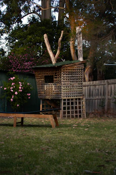 a wooden bench sitting in the middle of a yard