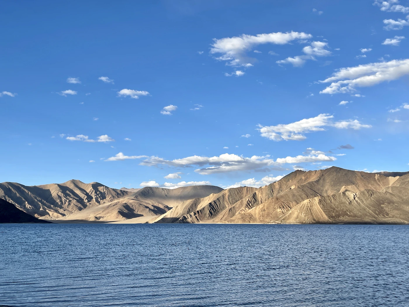 Pangong Tso and the barren Changthang ridgelines — one of the wildlife-rich regions the new safari routes are expected to reach.