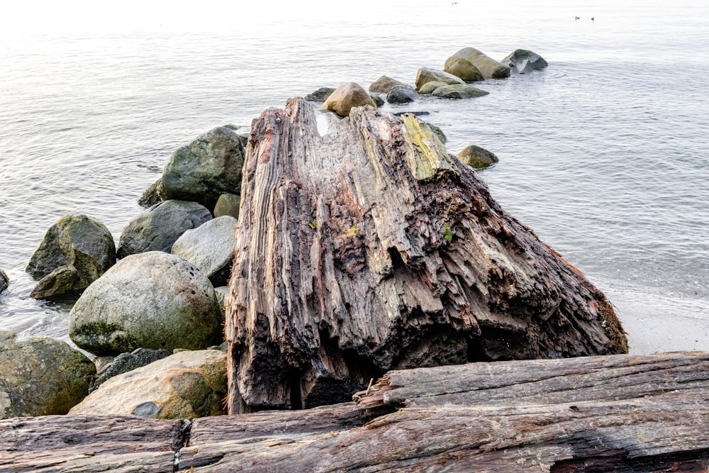 a large log sitting on top of a beach next to the ocean