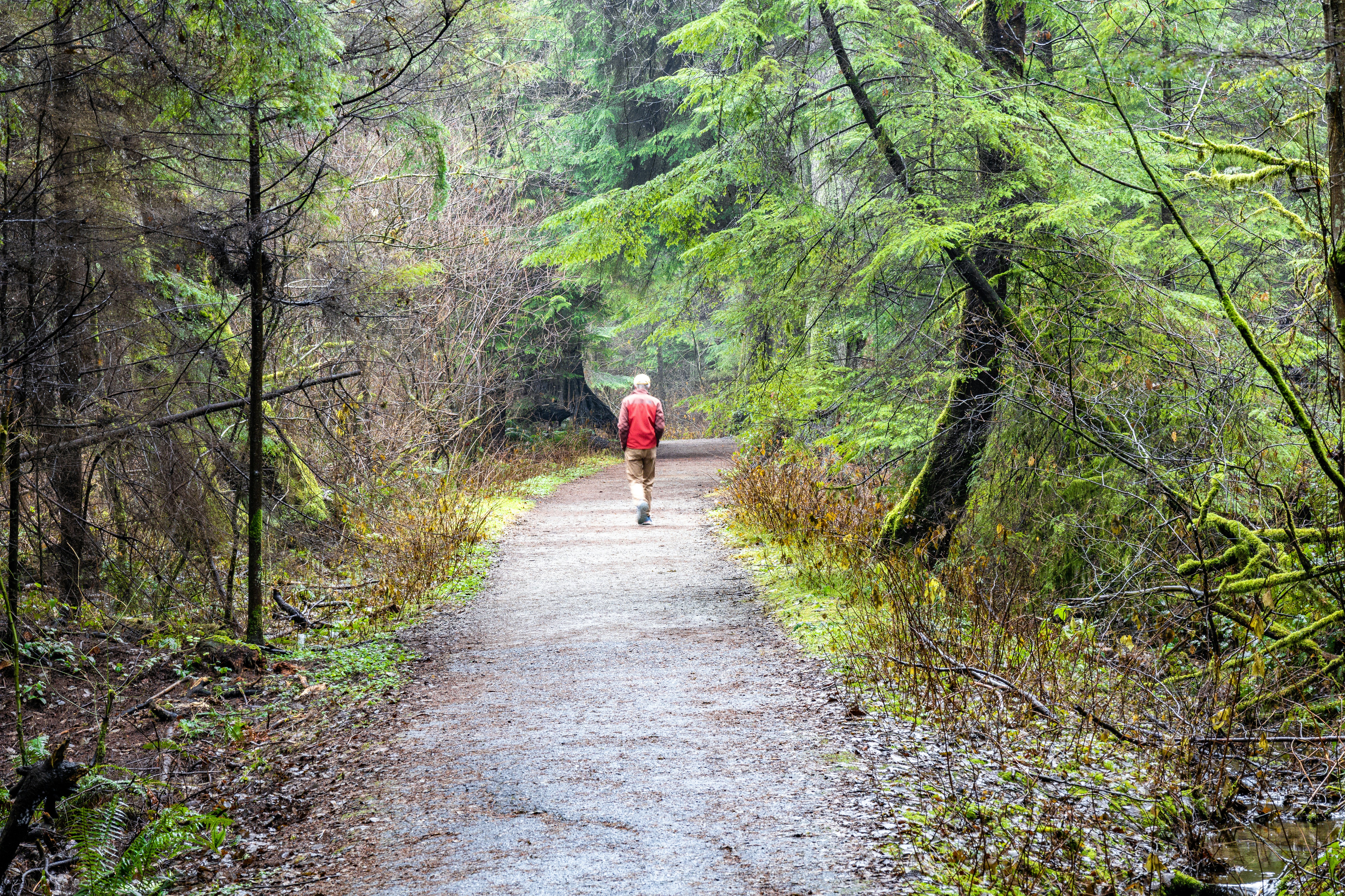 Creating Effective Discipleship Pathways: Designing Custom Tracks That Help Members Grow