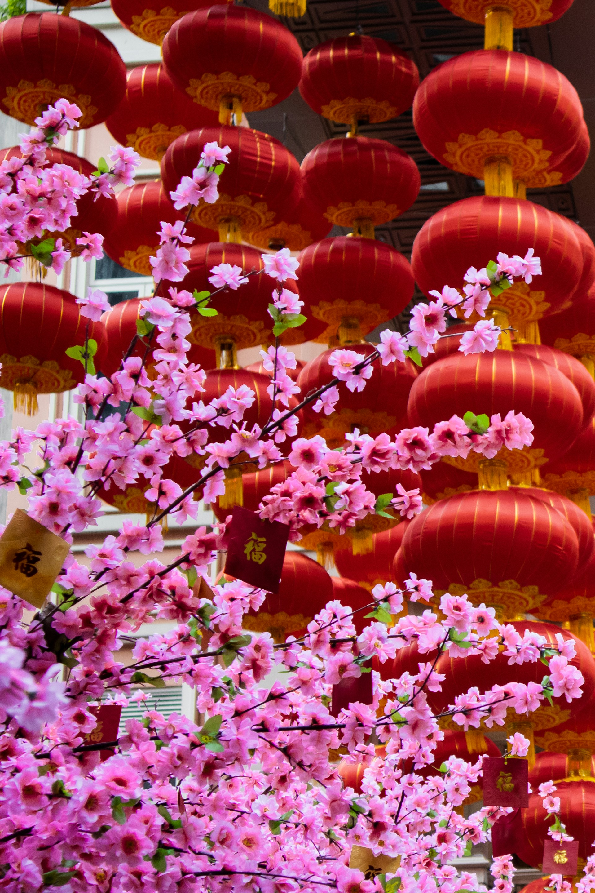 a bunch of red lanterns hanging from the ceiling