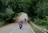 Two motorcyclists travel down a winding road lined with lush, green trees, creating a serene and adventurous scene. The leading rider carries a large red backpack. The scene is peaceful with a car visible ahead, suggesting a journey through a rural or forested area.