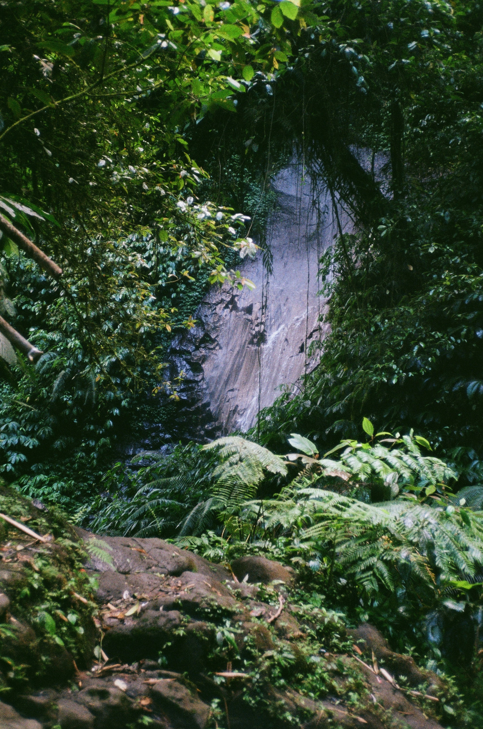 Photo by alena_shekhovtcova