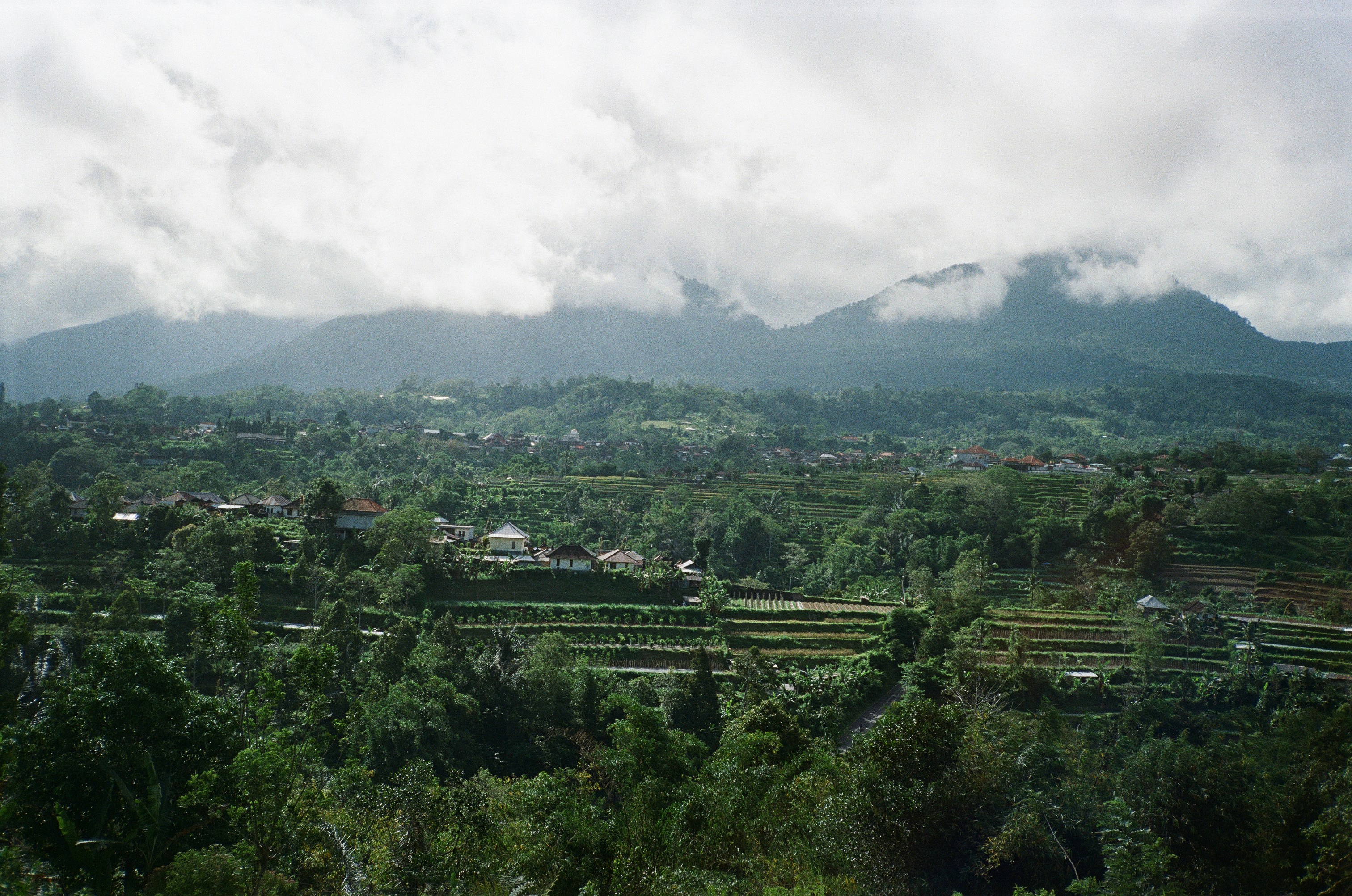 Photo by alena_shekhovtcova