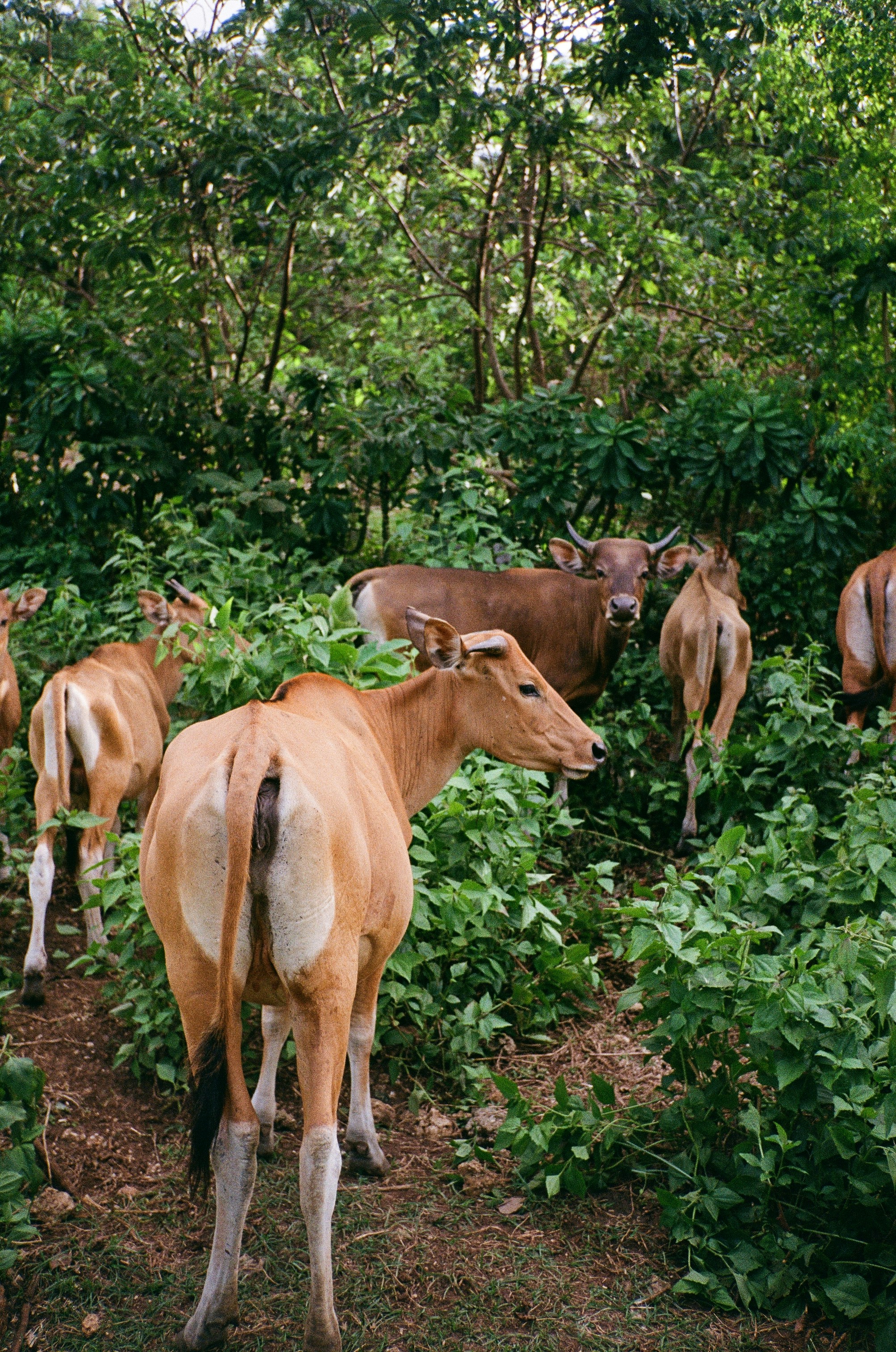 Photo by alena_shekhovtcova