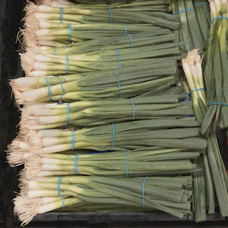 Stacks of fresh onions neatly arranged for delivery in a modern warehouse.