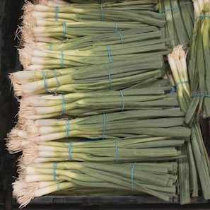 Several bunches of fresh green onions are neatly stacked together. Each bunch is tied with a blue rubber band, showcasing their long green stalks and white bulbous roots. The onions are arranged closely, filling up the available space.