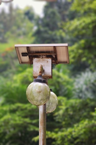 A solar-powered street lamp with two weathered, globe-shaped bulbs stands amidst lush green foliage. The lamp appears rustic, with some signs of wear on the metal and glass components, and a solar panel mounted on top.