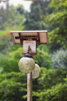 A solar-powered street lamp with two weathered, globe-shaped bulbs stands amidst lush green foliage. The lamp appears rustic, with some signs of wear on the metal and glass components, and a solar panel mounted on top.
