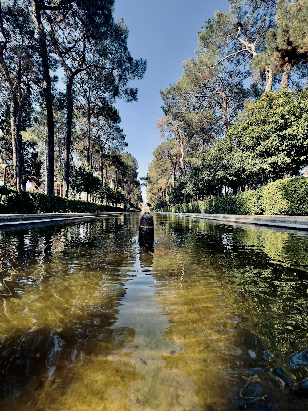 a narrow canal with trees lining the sides