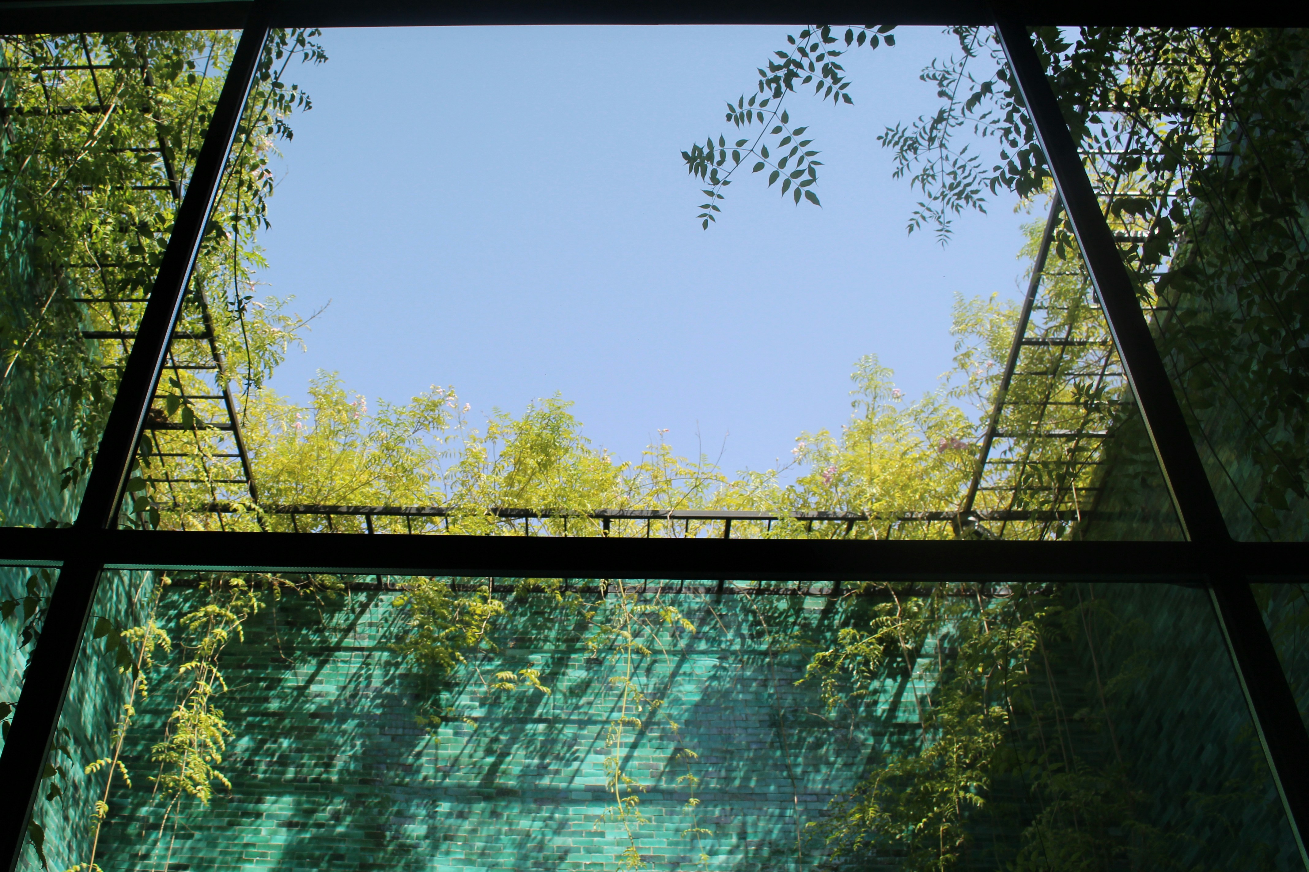 Photo by behnazyosofi