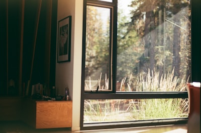 Sunlit living room with large windows revealing the lush garden outside.