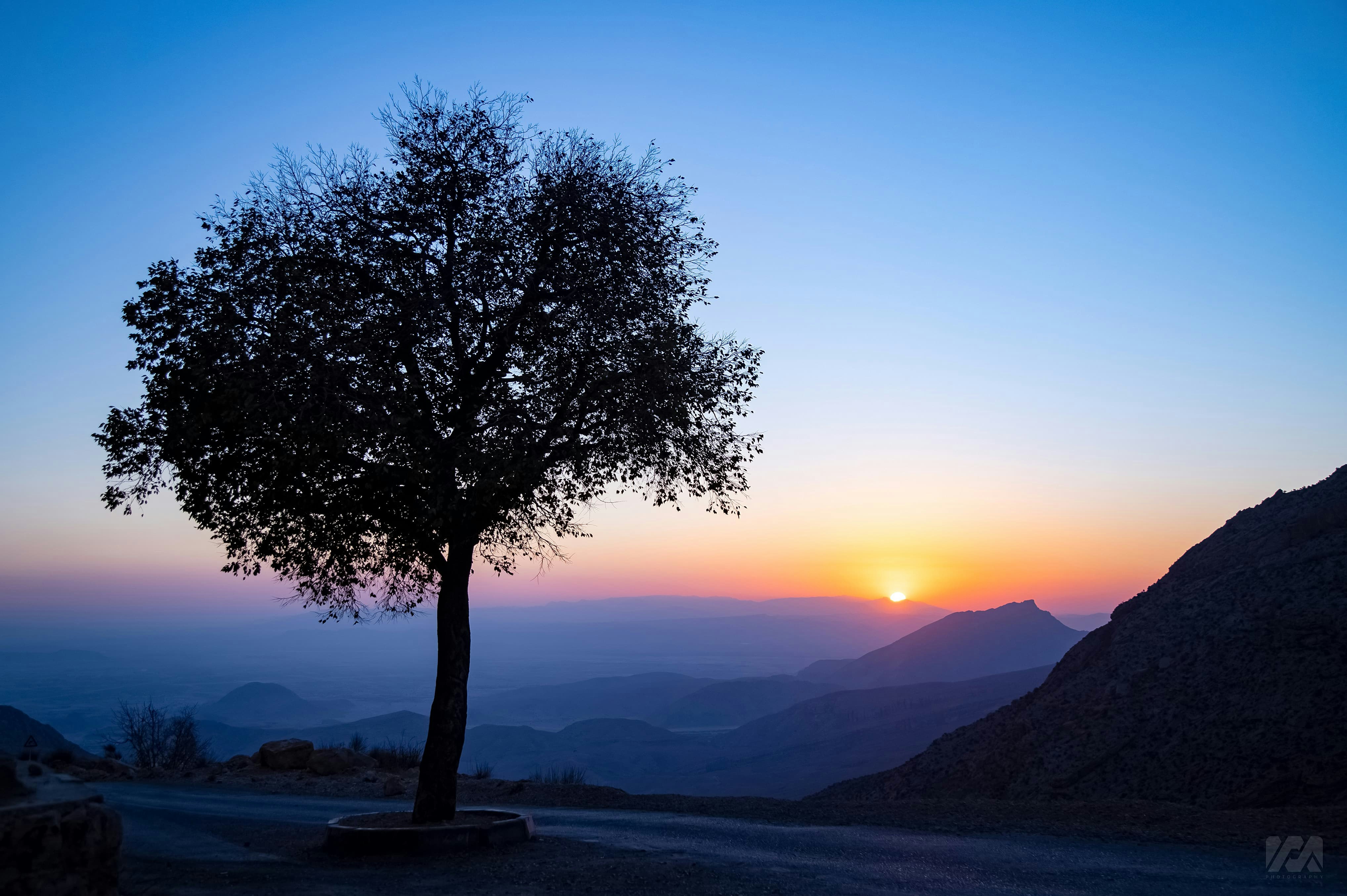 a lone tree in the middle of a mountain