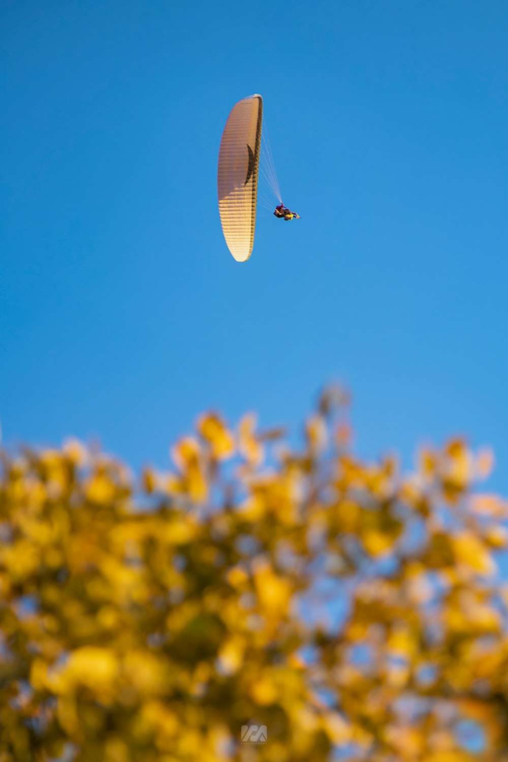 Un parasailer sta volando attraverso il cielo blu