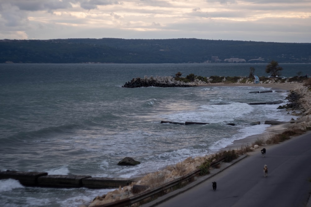 a couple of people walking down a road next to the ocean