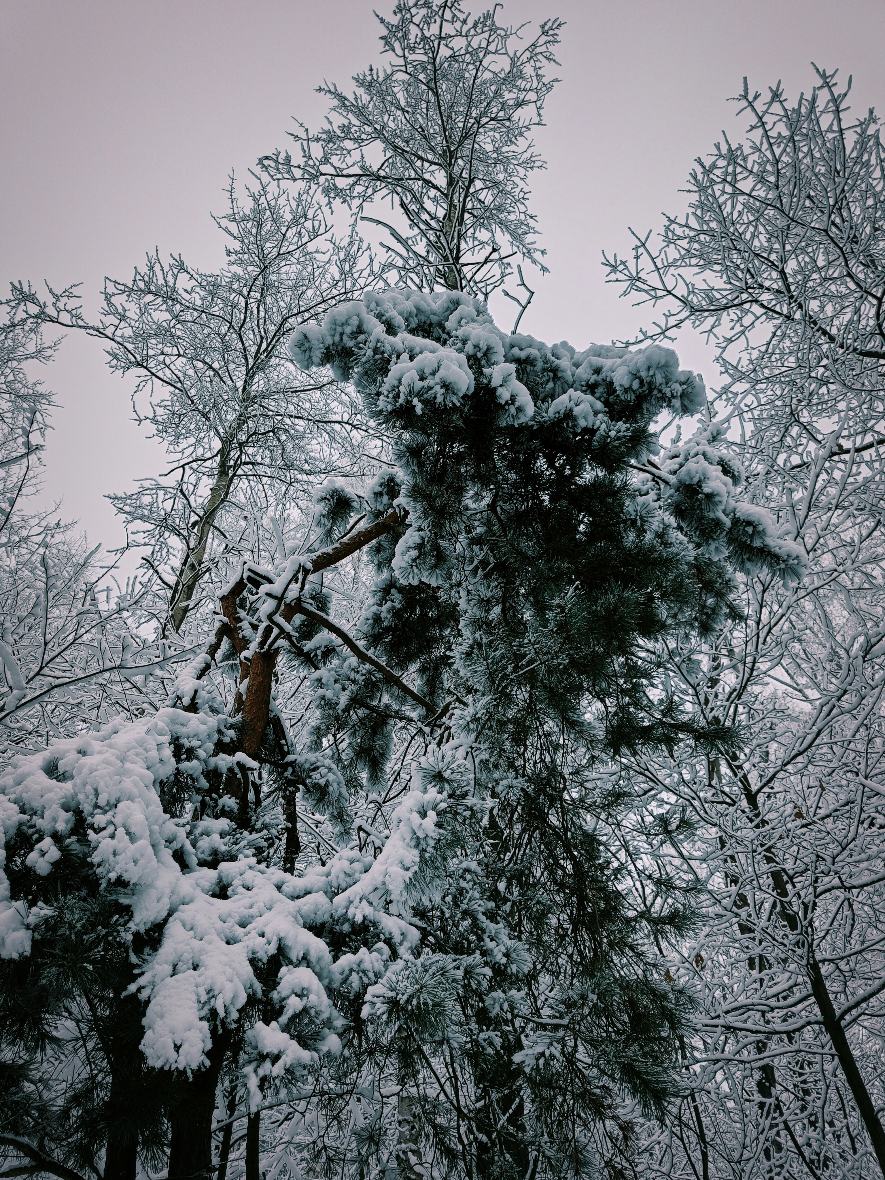 Photo by sprucejpg