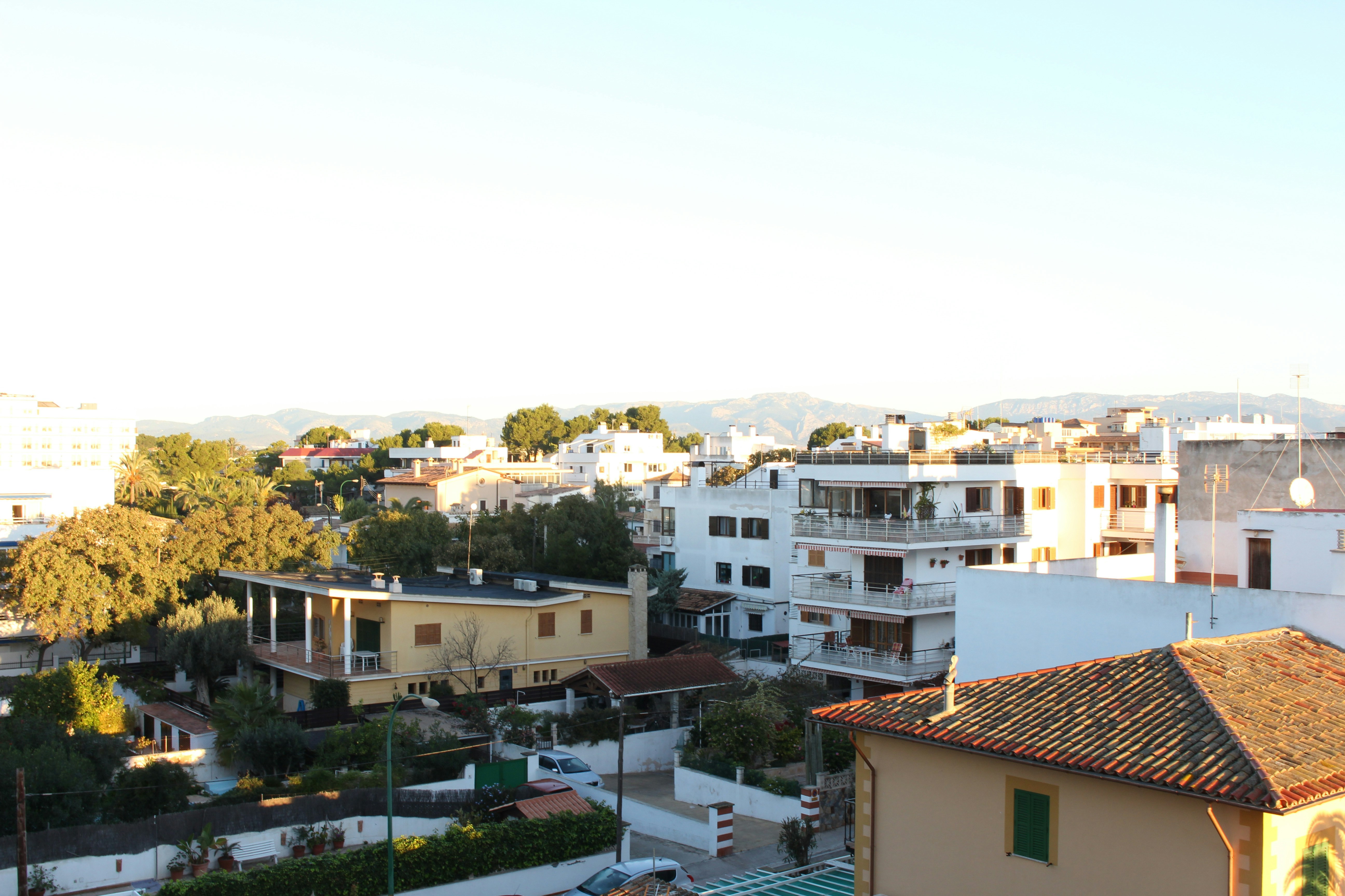 Photo by behnazyosofi