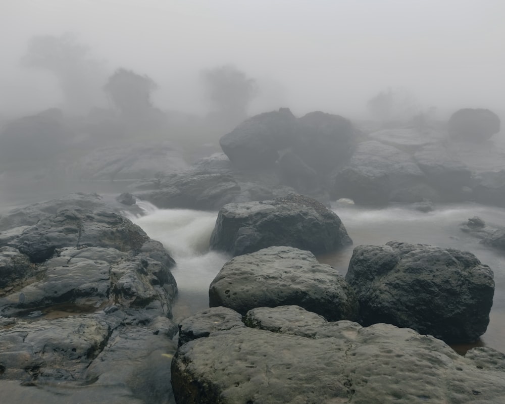 rocks in the water with fog in the background