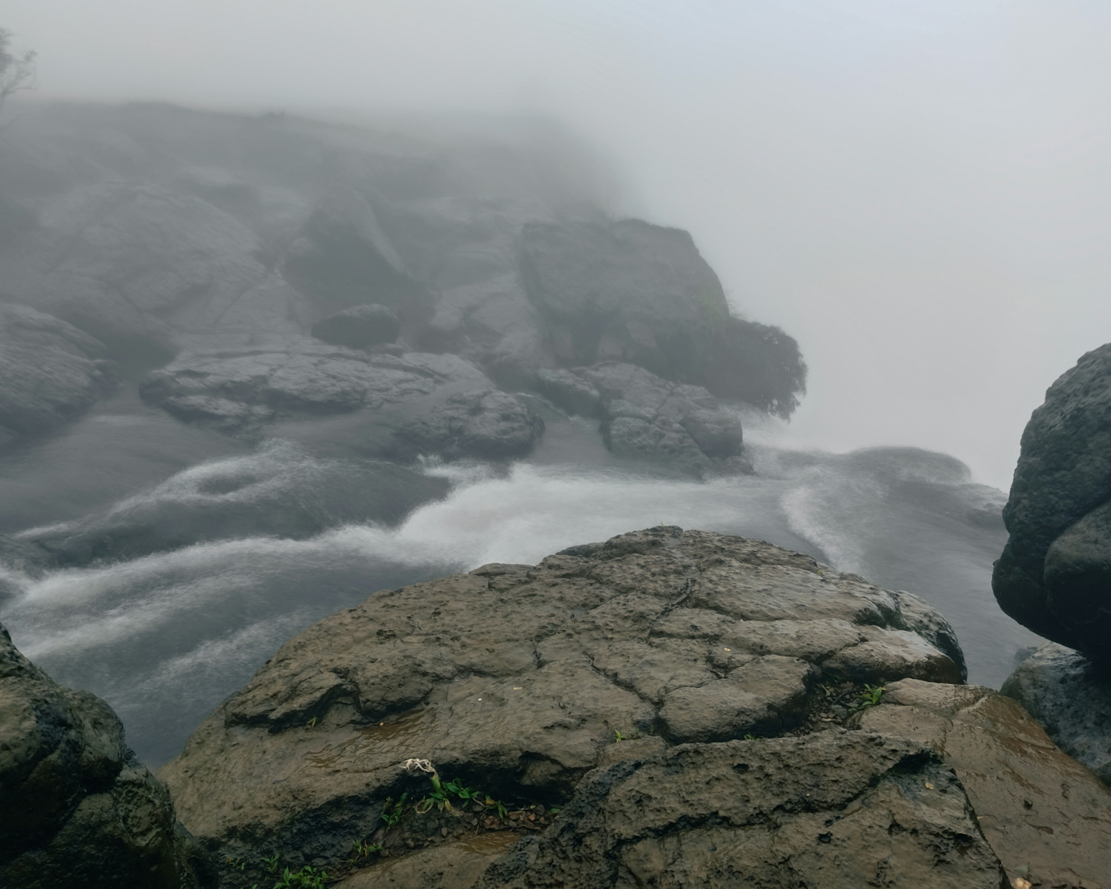 Photo by tanishclick