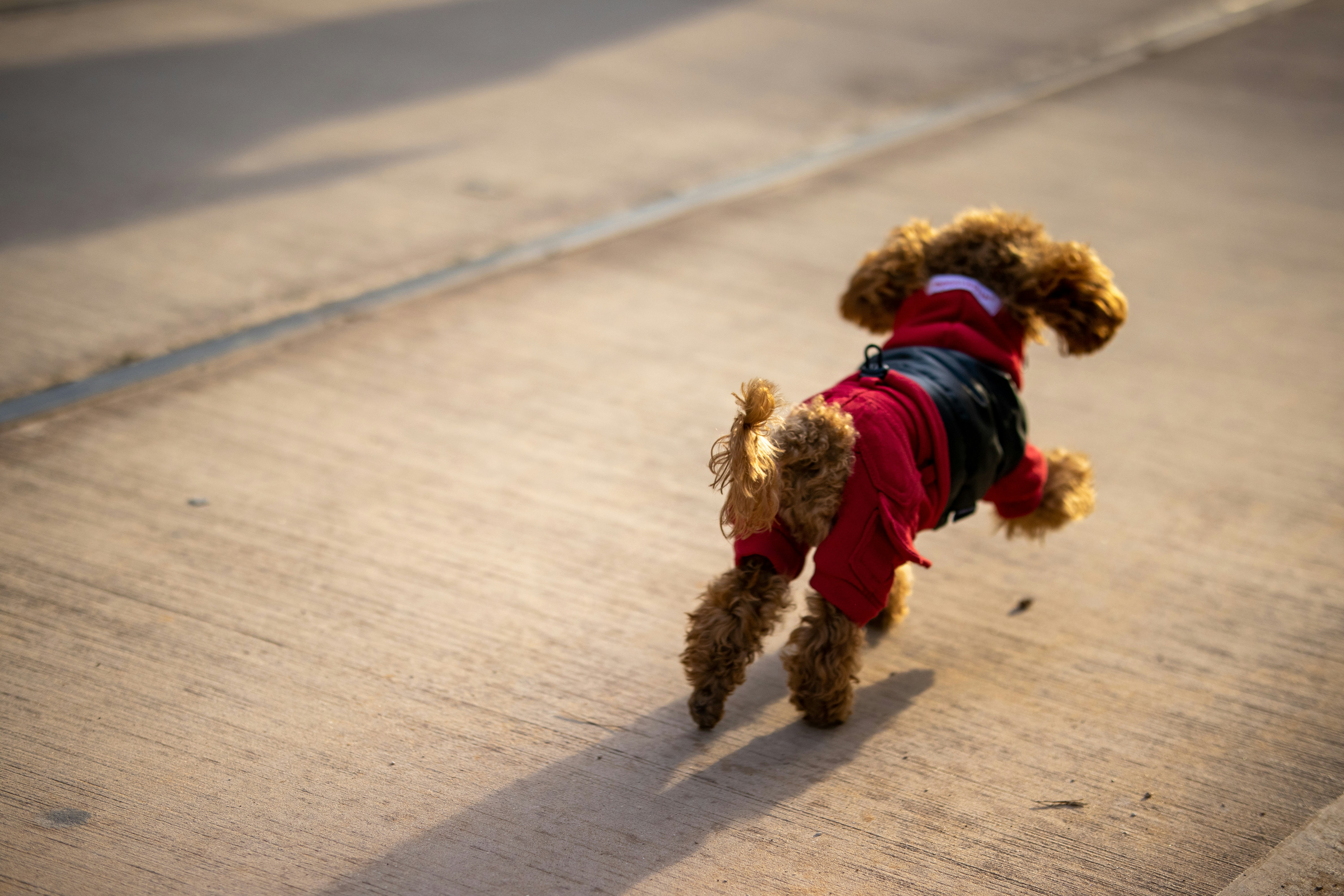 Photo by jacekjaniczak