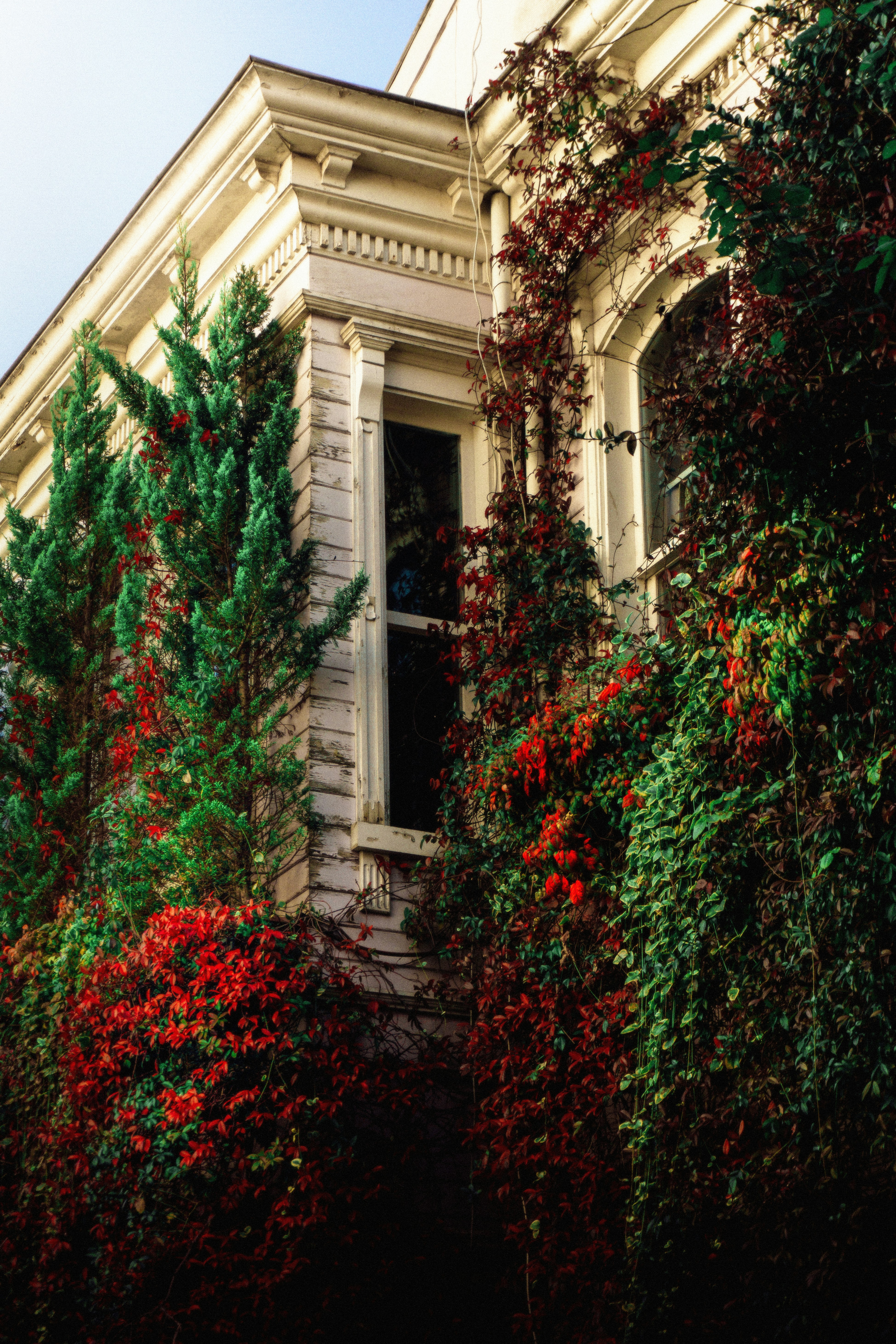 Photo by galleryofmyeye