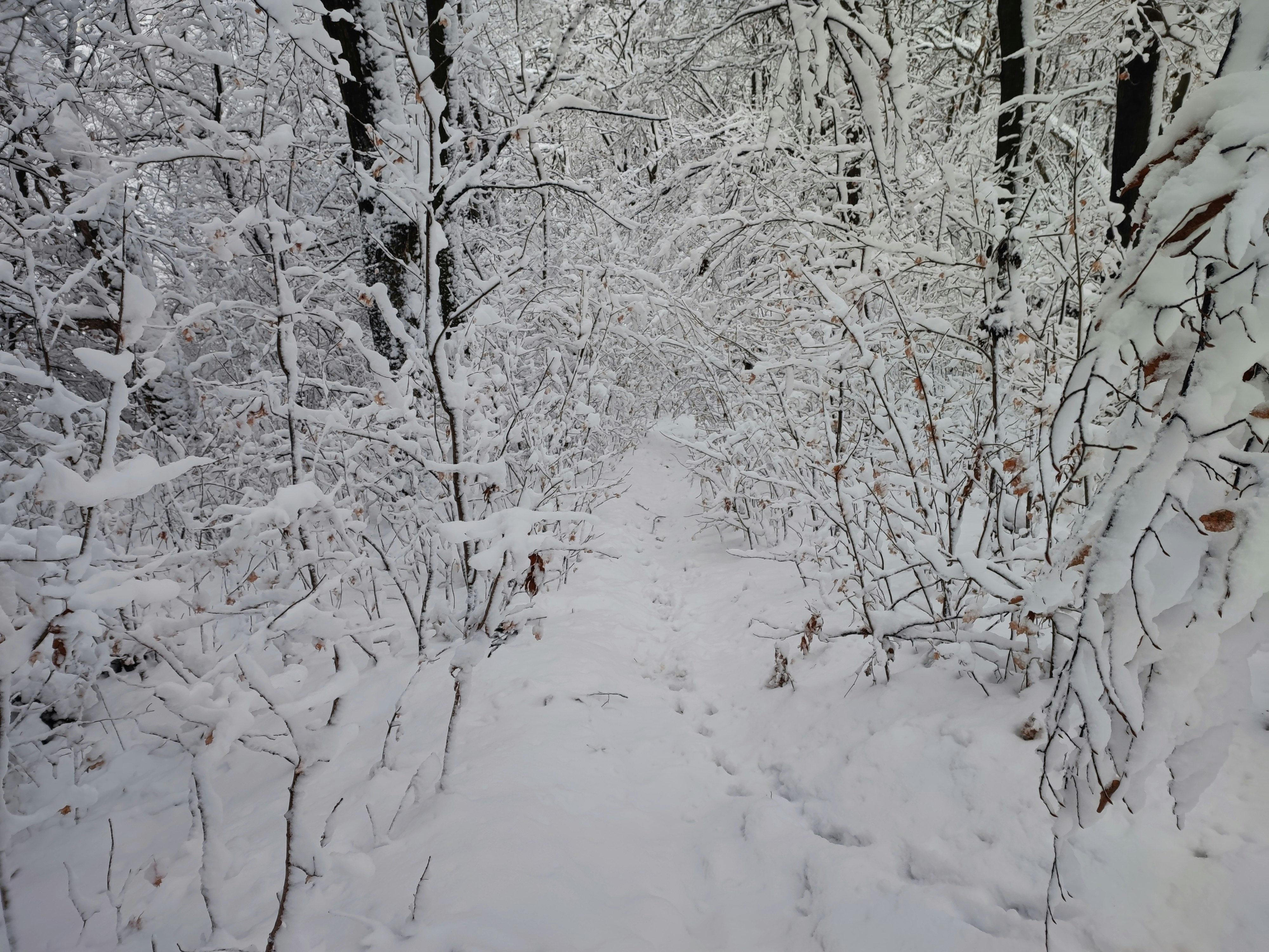 Photo by olesia_libra