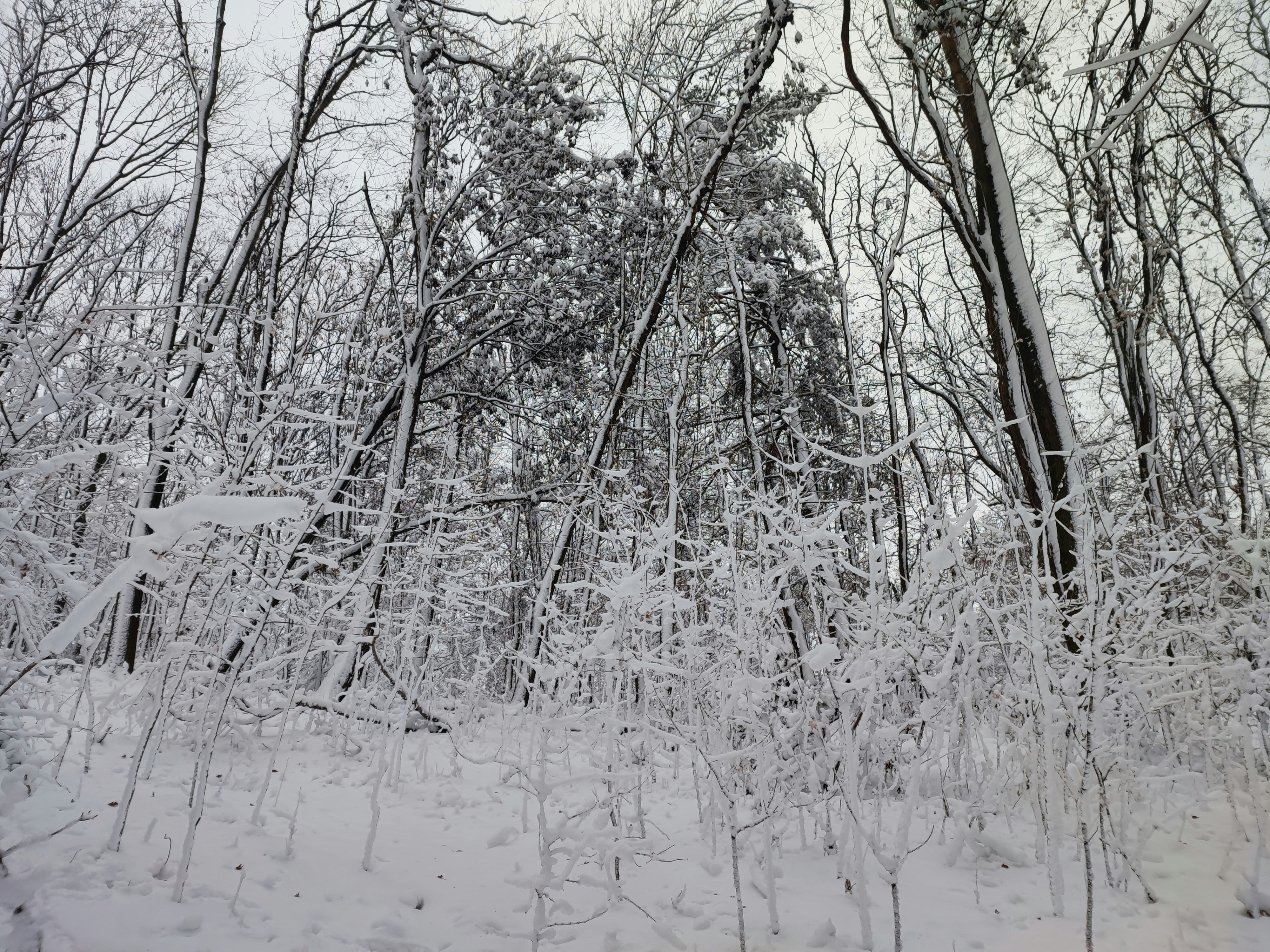 Photo by olesia_libra