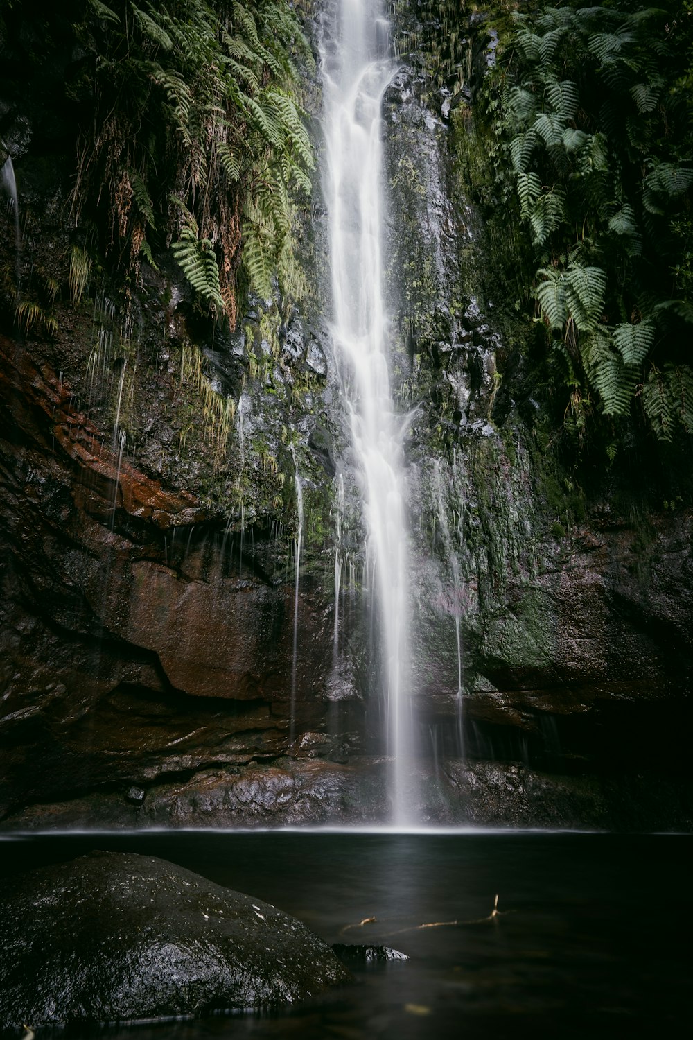 Une grande cascade au milieu d’une forêt