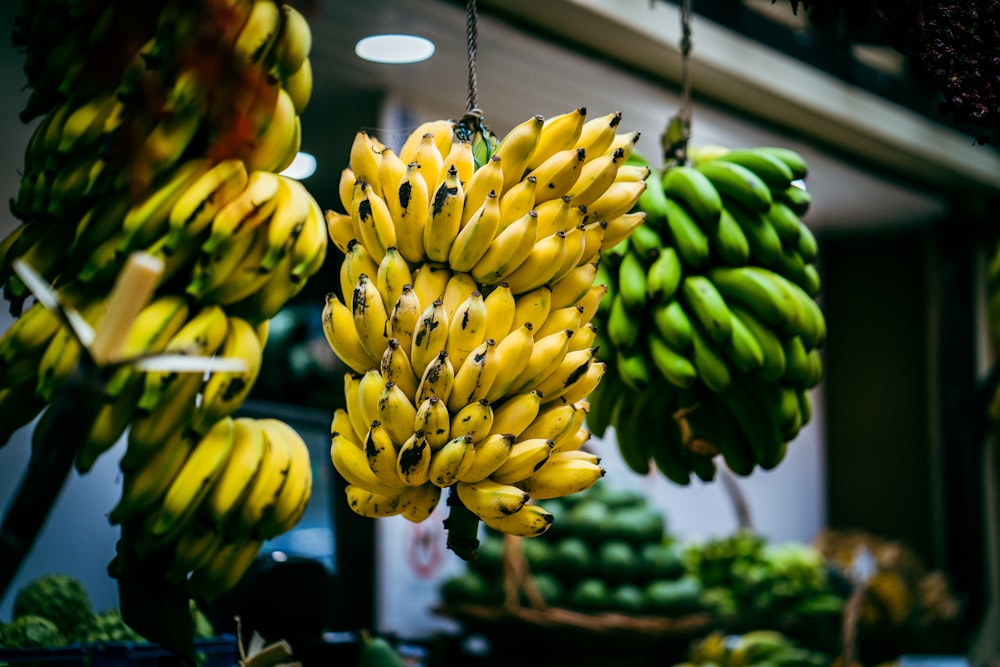 bunches of bananas hanging from hooks in a market
