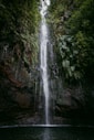 a large waterfall in the middle of a forest