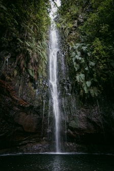 a large waterfall in the middle of a forest