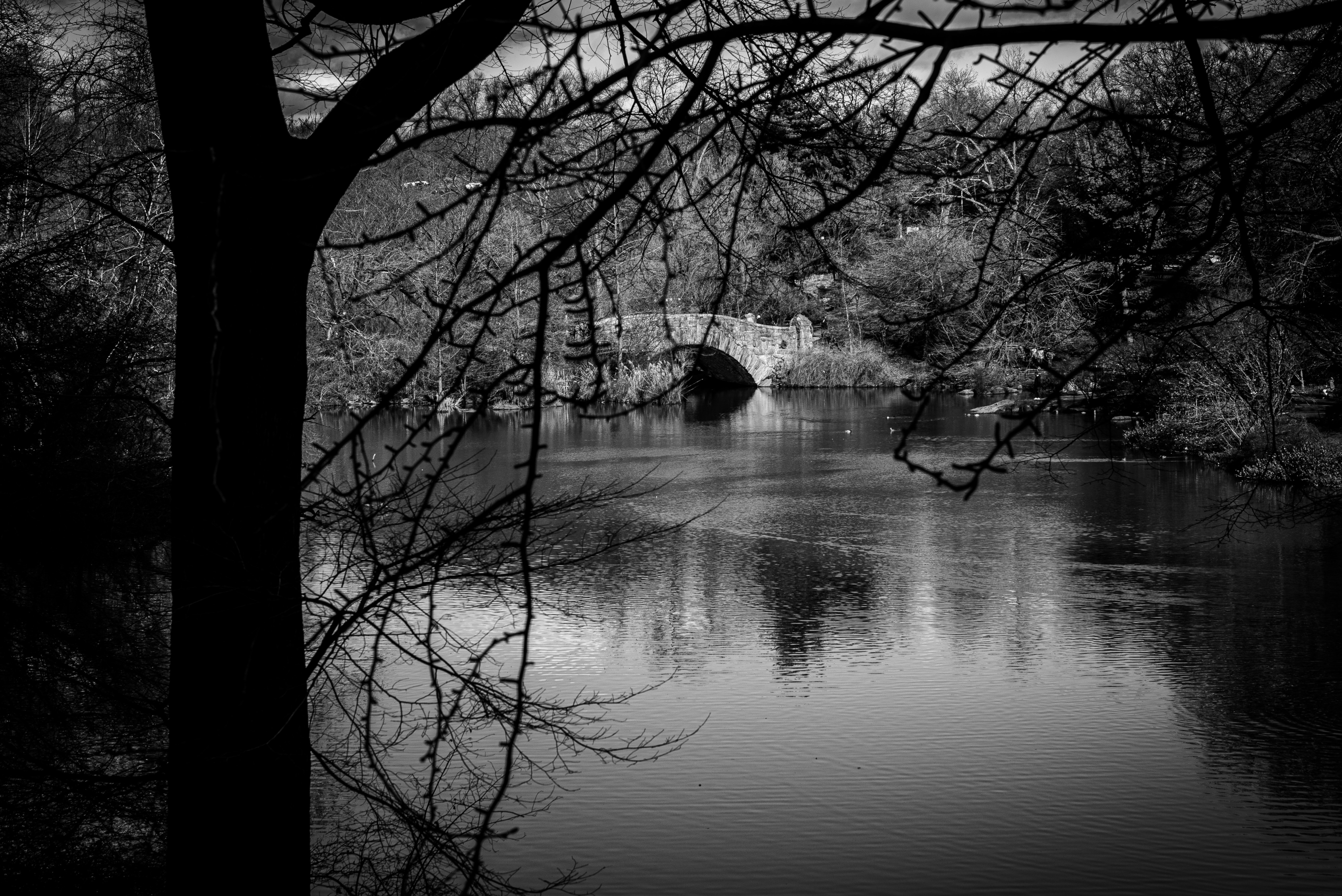 une photo en noir et blanc d’un pont au-dessus d’un lac