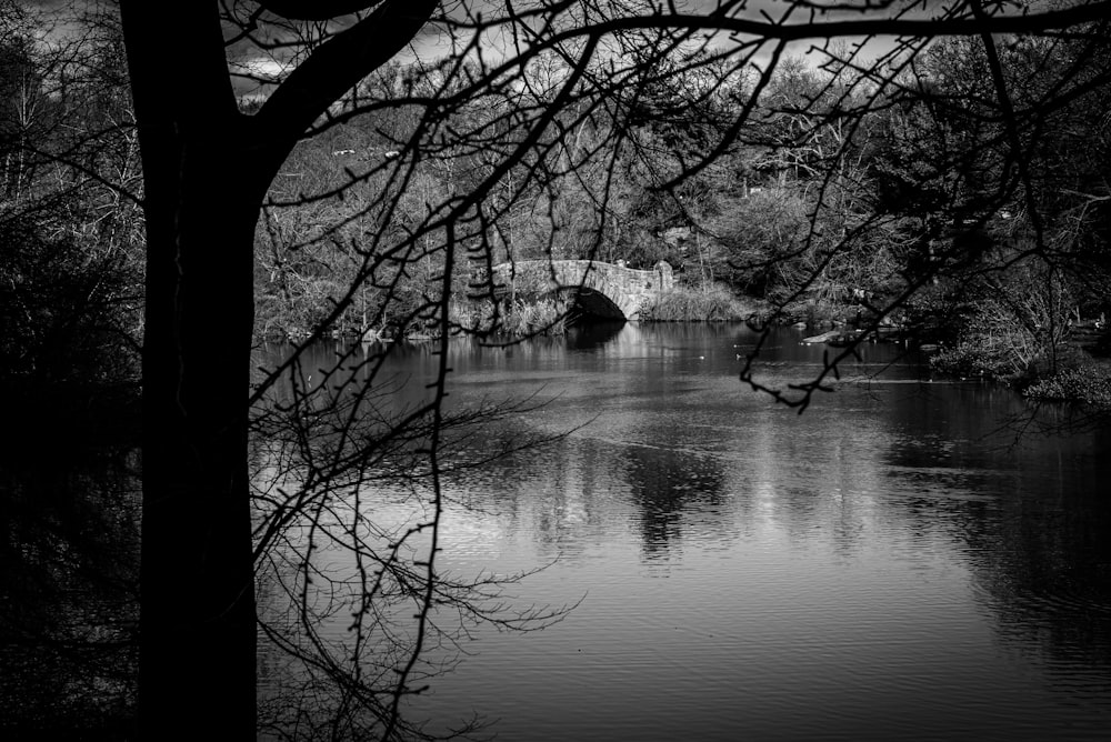 a black and white photo of a bridge over a lake